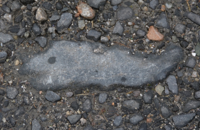 fish-shaped rock in asphalt